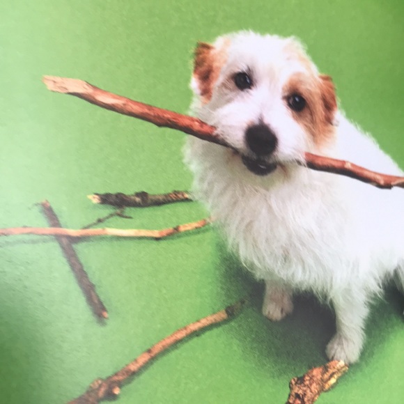 Book- Mutt Mugs (and posh pups too) by Karen Prince - Picture 8 of 12